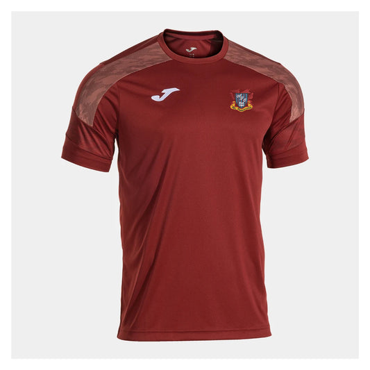 Penrhiwceiber FC Championship Tee